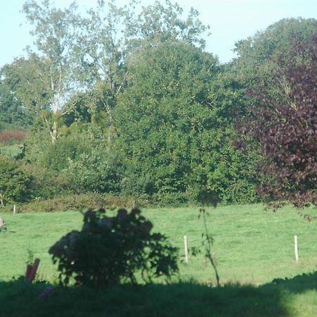 Le Chateau De Claids Saint-Patrice-de-Claids 外观 照片
