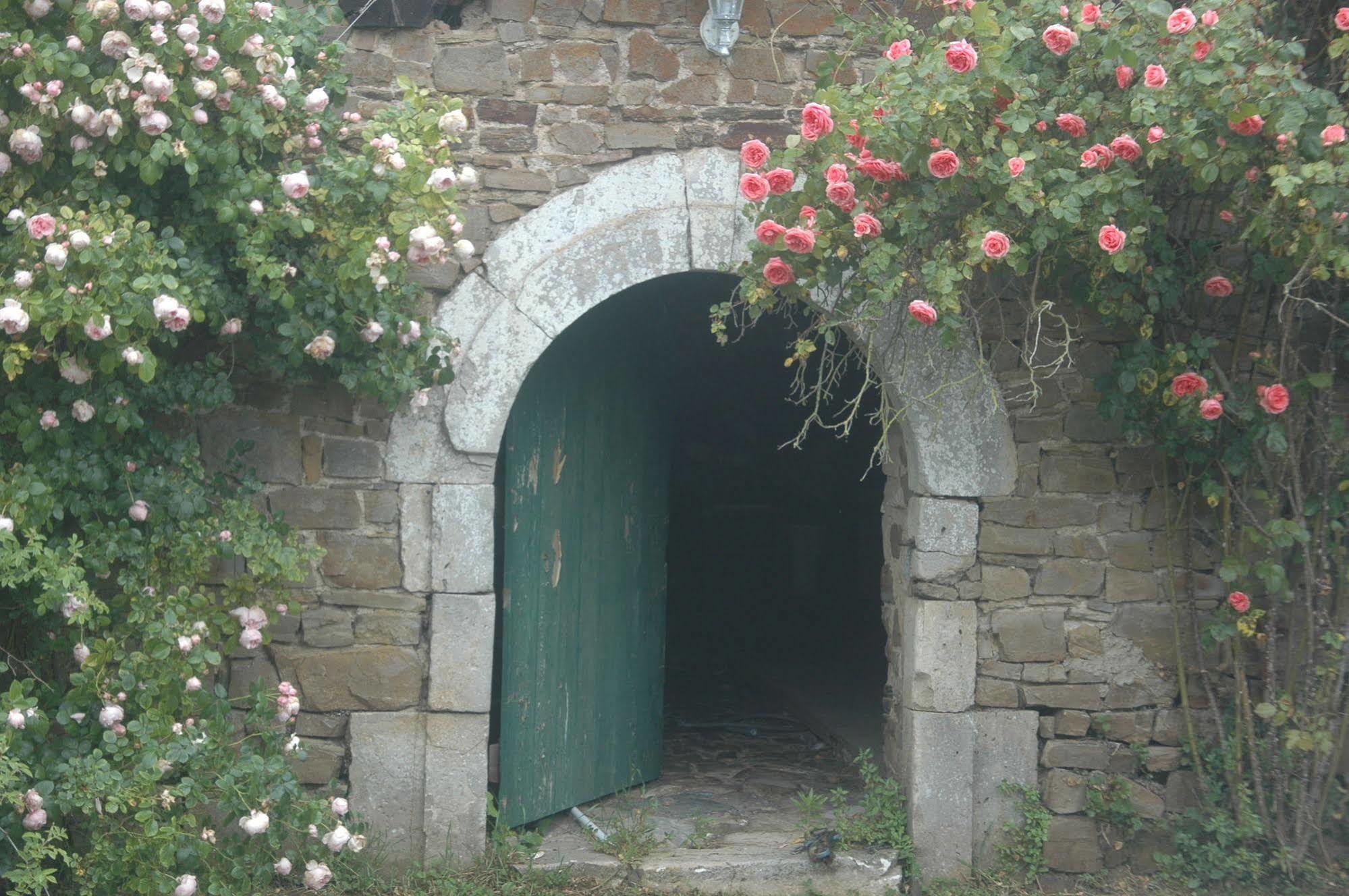 Le Chateau De Claids Saint-Patrice-de-Claids 外观 照片